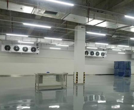 建造冷庫(kù)能讓你一年賺多少錢