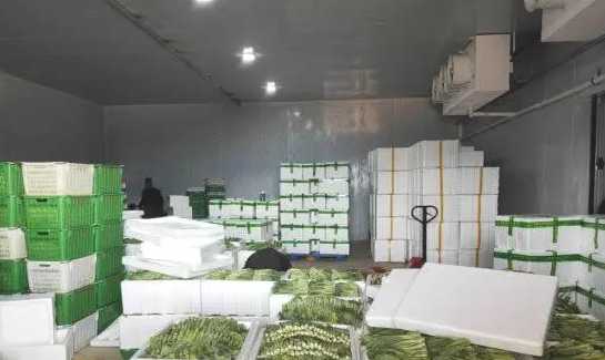大型蔬菜冷庫工程報(bào)價多少錢