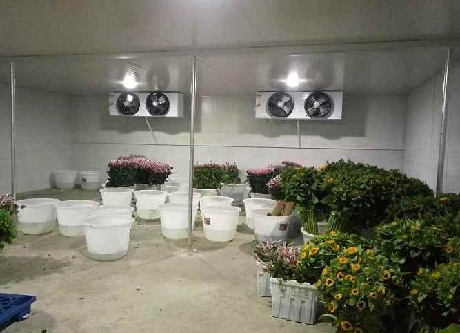 冷庫(kù)地面施工工藝的流程內(nèi)容