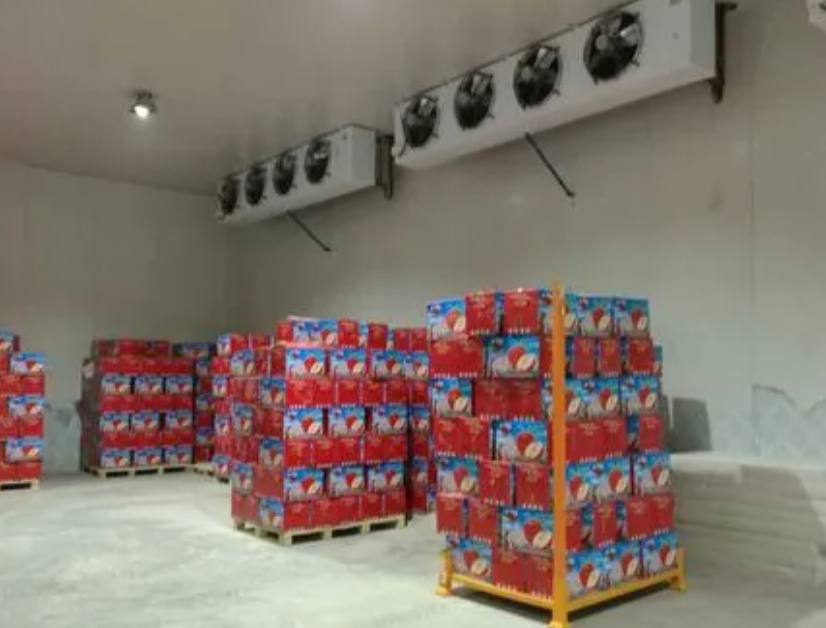 冷庫設(shè)備安裝施工流程