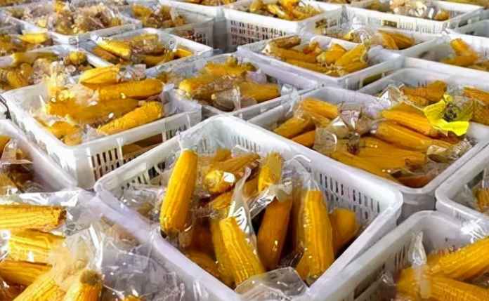 大量玉米除了冷庫保鮮儲存，還有其他方法嗎