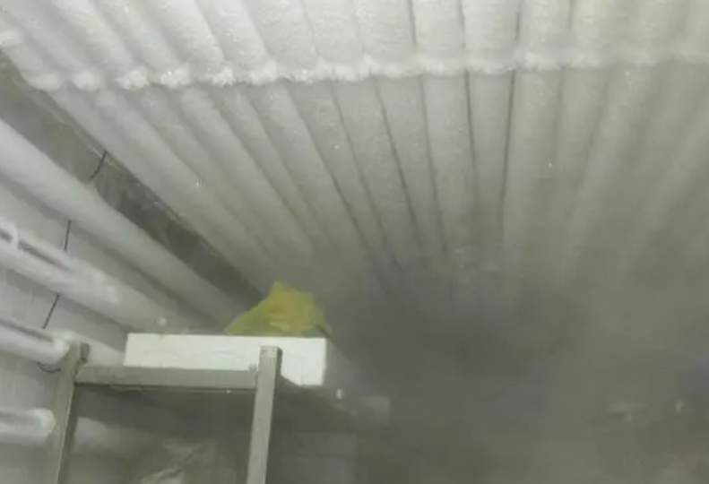 定制低溫速凍冷庫的成本大概是多少？