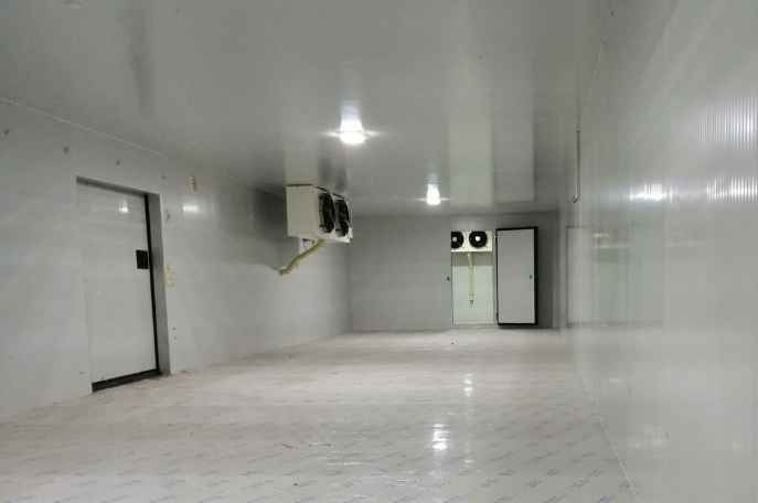 在東莞建造一個(gè)肉類速凍冷庫，其成本是多少？